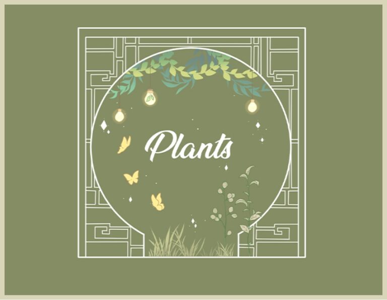 themes-plants-01